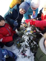 "Украшаем ёлочку на участке"